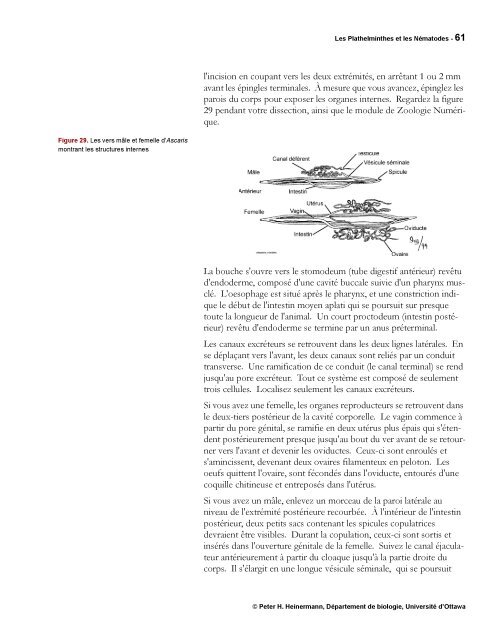 Protocole - Simulium bio Ottawa - Université d'Ottawa