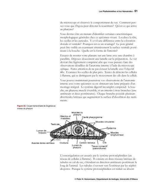 Protocole - Simulium bio Ottawa - Université d'Ottawa