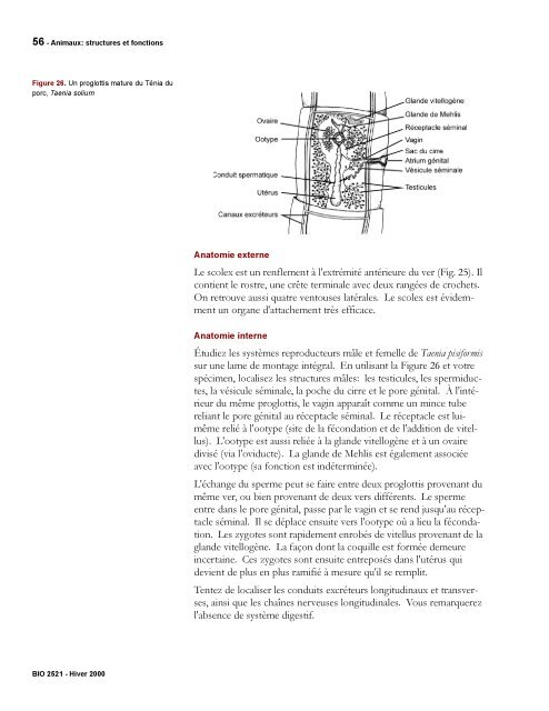 Protocole - Simulium bio Ottawa - Université d'Ottawa