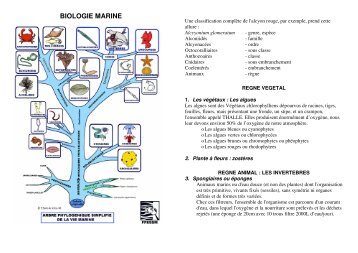 La biologie marine (pdf) - Université Paris Diderot-Paris 7