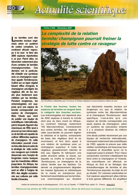 Fiche d'actualité scientifique n°283 ( PDF , 86 Ko) - IRD