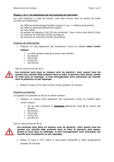 1. Digestion de l'ADN par les enzymes de - Département de biologie