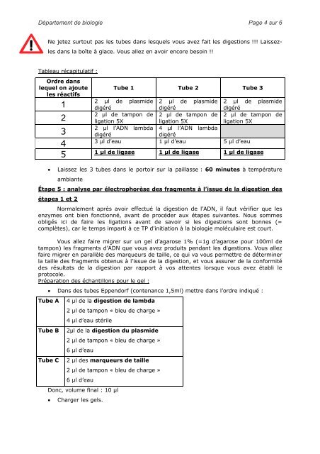 1. Digestion de l'ADN par les enzymes de - Département de biologie