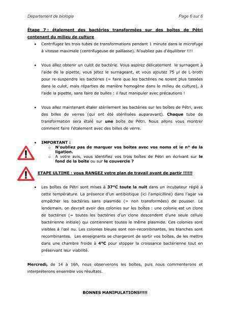 1. Digestion de l'ADN par les enzymes de - Département de biologie