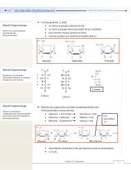 fiche etude Glucides