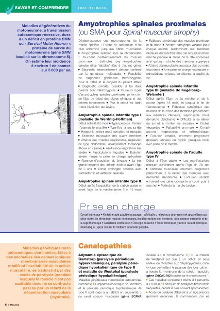 Principales maladies neuromusculaires - Institut de Myologie