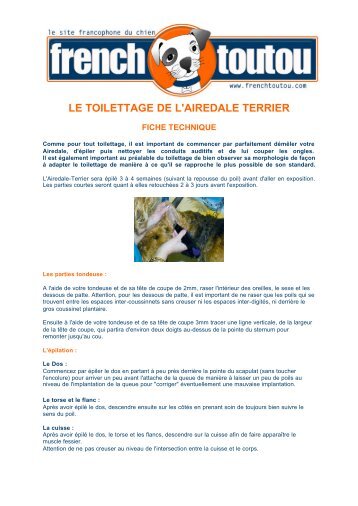 LE TOILETTAGE DE L'AIREDALE TERRIER - Frenchtoutou