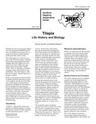 Tilapia: Life History and Biology - SRAC Fact Sheets