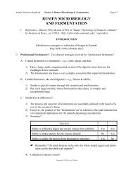 RUMEN MICROBIOLOGY AND FERMENTATION