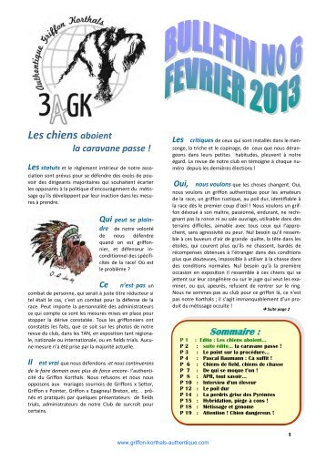 Bulletin n°6 - Griffons Korthals Authentiques, 3AGK