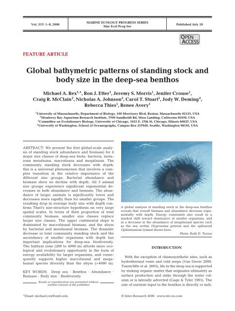 Global bathymetric patterns of standing stock and body size in the ...