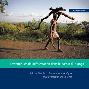Dynamiques de déforestation dans le bassin du Congo - The Forest ...