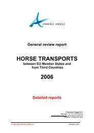 Transport route - Animals' Angels e.V.
