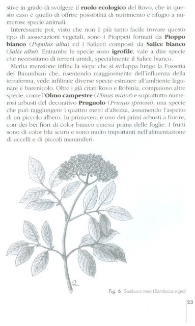 La Cassa di Colmata - Ornitologia Veneziana