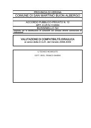 Accordo Bussinello - Comune di San Martino Buon Albergo