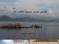 Il ruolo delle aree umide - Enea