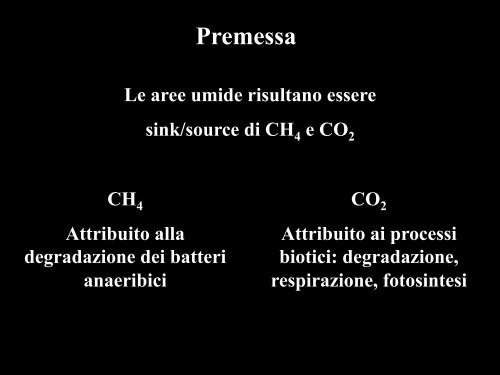 Il ruolo delle aree umide - Enea