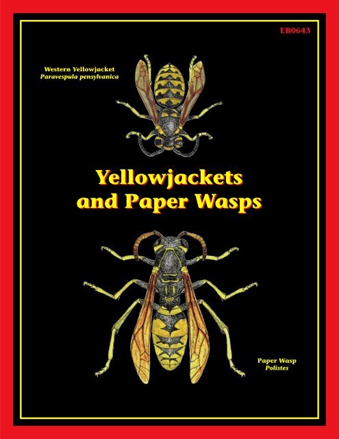 Yellowjackets and Paper Wasps Yellowjackets and Paper Wasps