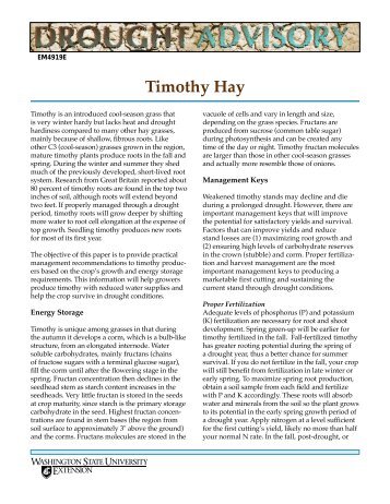 Timothy Hay - Washington State University