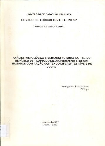 Dissertacao Analigia da Silva Santos.pdf - Caunesp
