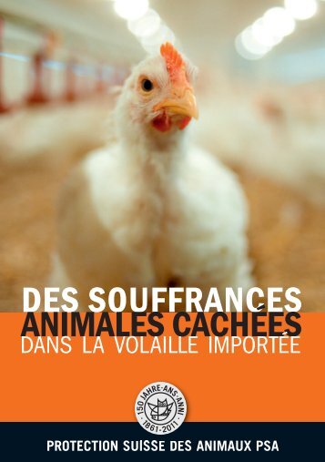 Flyer "Volaille importée: une détresse animale cachée" - Protection ...