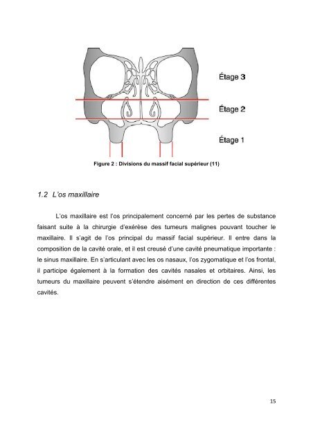 Les tumeurs malignes au niveau du maxillaire - Bibliothèques de l ...