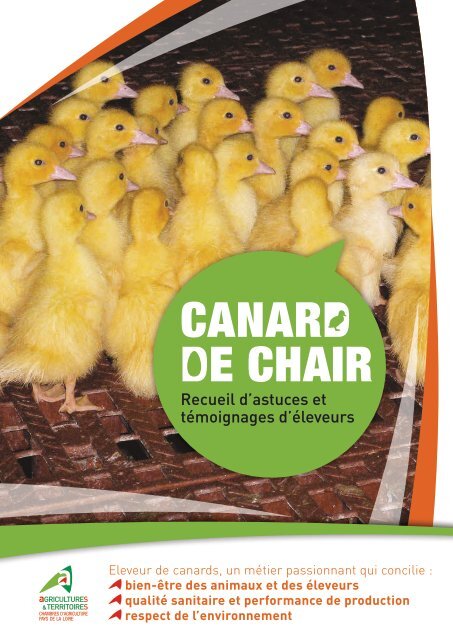 CANARD DE CHAIR - Institut Technique de l'AVIculture