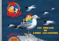 LES OISEAUX DE LOIRE ATLANTIQUE - Le Petit Gibus