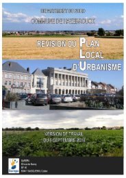 Rapport Présentation Hazebrouck 270810