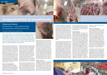unterschiedliche Wege bei Schlachtung und Fleischverarbeitung