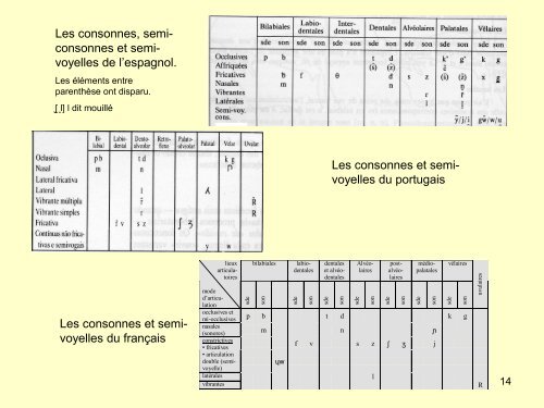 Apprentissage de la lecture-écriture en contexte bi- ou ... - rapefep