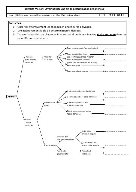 Exercice Maison: Savoir utiliser une clé de détermination des animaux
