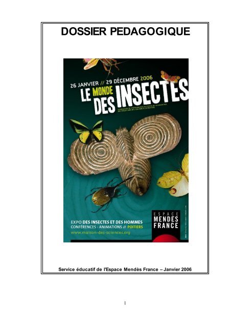 Dossier pédagogique : Le Monde des Insectes
