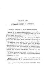 L'ÉPAILLAGE CHIMIQUE OU CARBONISAGE - Laines.be