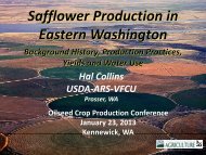 Safflower Genetic Resources  Washington State University