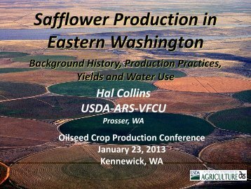 Safflower Production in Eastern Washington – Background History ...