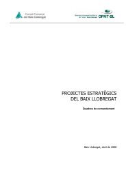 PROJECTES ESTRATÈGICS DEL BAIX LLOBREGAT. Abril 2008