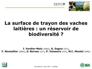 La surface de trayon des vaches laitières