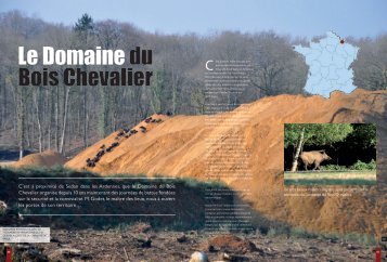 Reportage sur la Chasse du Bois Chevalier parru dans ... - ggloisirs.eu