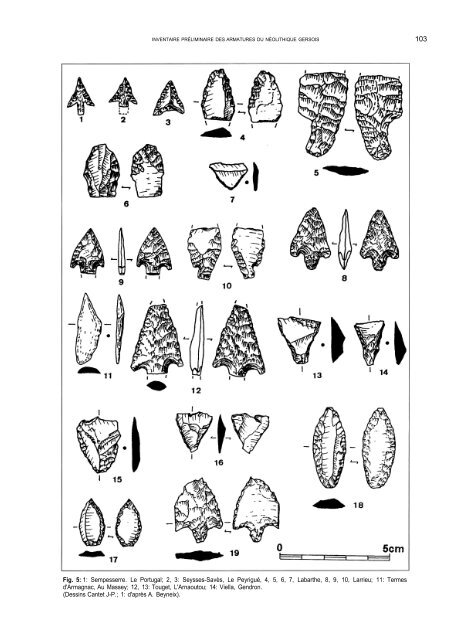 Inventaire préliminaire des armatures du Néolotique ... - Aranzadi