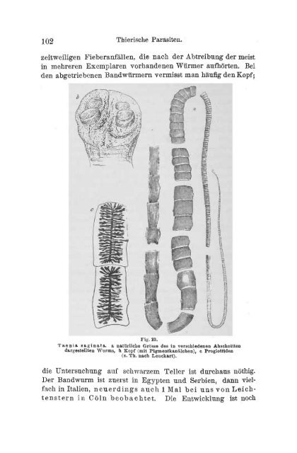 I. Pflanzliche und thierische Parasiten.