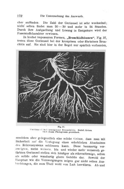 I. Pflanzliche und thierische Parasiten.