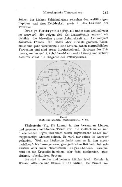 I. Pflanzliche und thierische Parasiten.