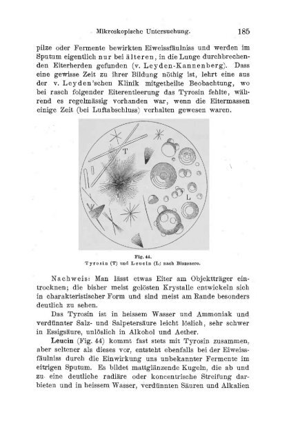 I. Pflanzliche und thierische Parasiten.