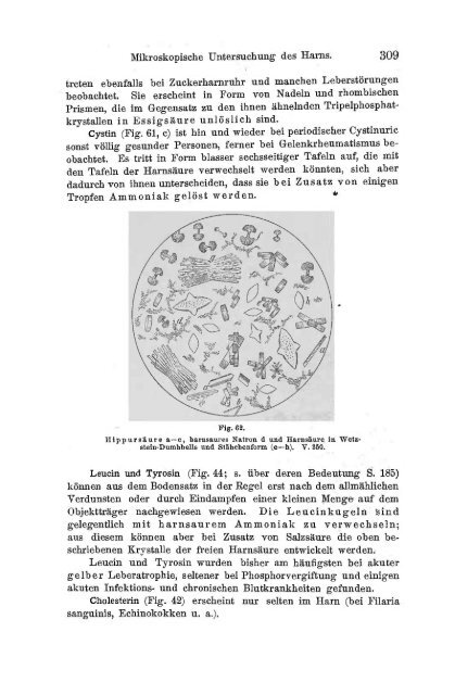 I. Pflanzliche und thierische Parasiten.