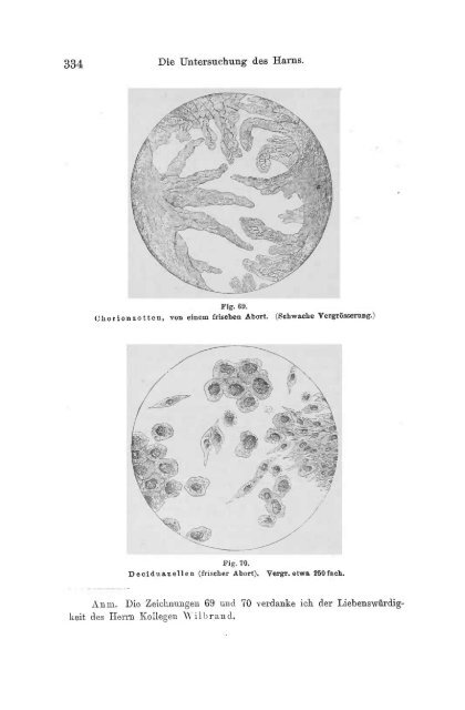 I. Pflanzliche und thierische Parasiten.