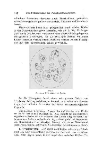 I. Pflanzliche und thierische Parasiten.