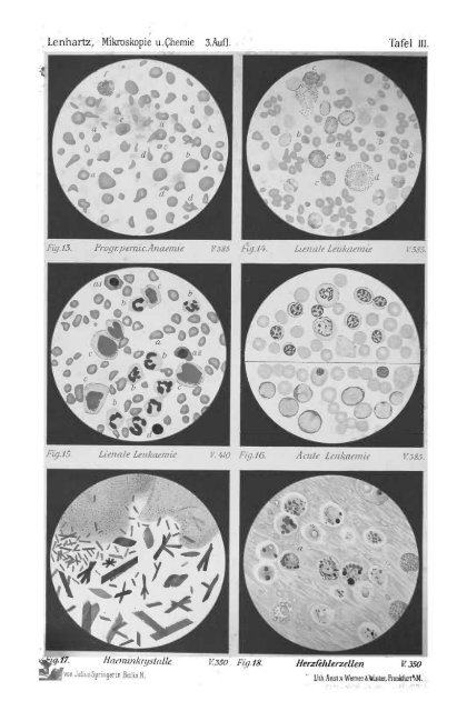 I. Pflanzliche und thierische Parasiten.