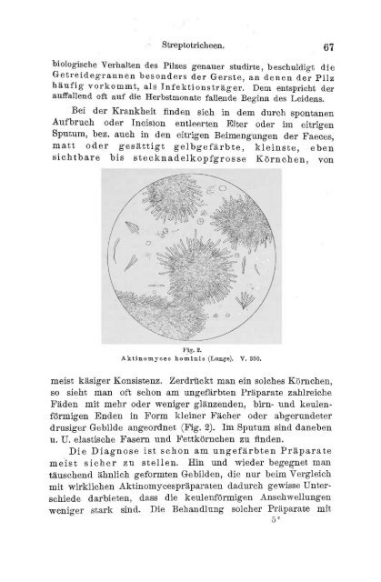 I. Pflanzliche und thierische Parasiten.