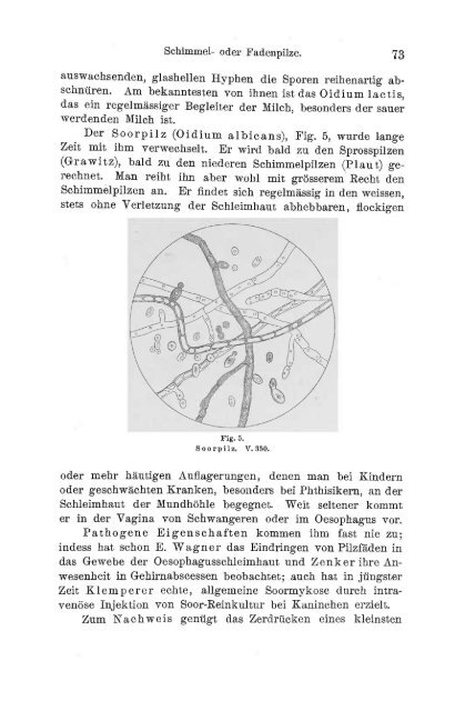 I. Pflanzliche und thierische Parasiten.